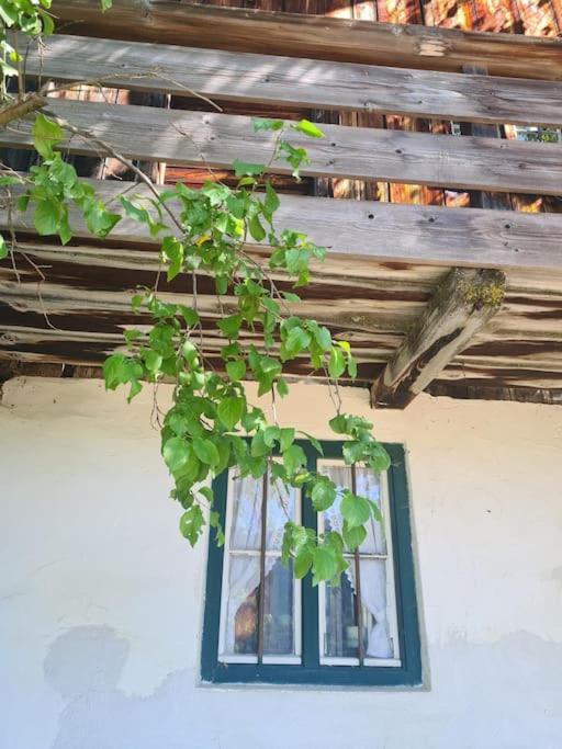 Vintage Am Chiemsee Apartment Ubersee